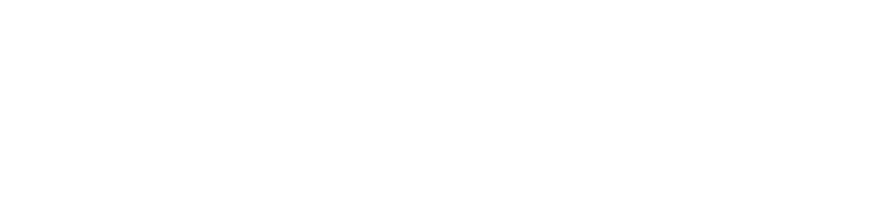 Dragonfly Government Solutions logo